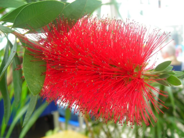 dscn1726.jpg