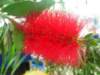 dscn1726_small.jpg
