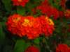 dscn1727_small.jpg