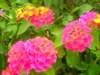 dscn1728_small.jpg