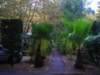dscn1736_small.jpg