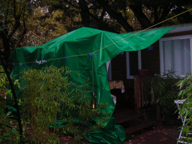 dscn2130.jpg