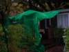 dscn2130_small.jpg