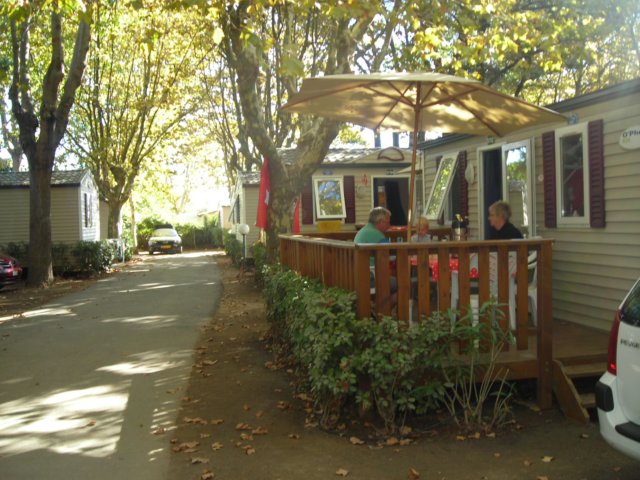 dscn2611.jpg
