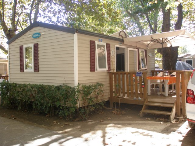 p9100267.jpg