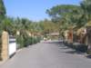 p9120337_small.jpg