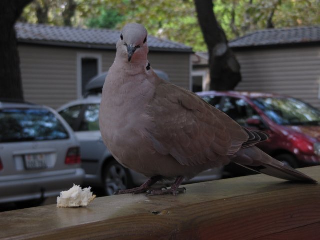 img_0354.jpg
