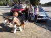 dsc01490_small.jpg