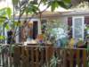 dsc01495_small.jpg