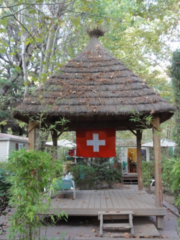 dsc01501.jpg