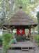 dsc01501_small.jpg