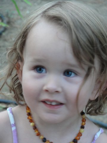 dsc01562.jpg