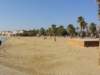 dsc01601_small.jpg