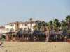 dsc01602_small.jpg