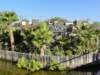 dsc01603_small.jpg