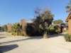 dsc01608_small.jpg