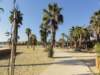 dsc01610_small.jpg