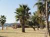 dsc01611_small.jpg