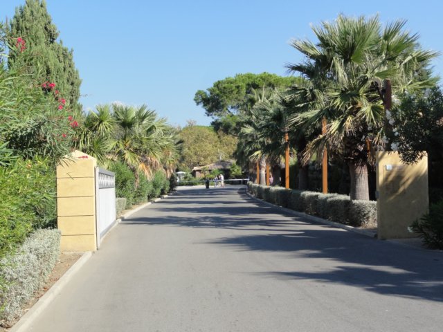 dsc01615.jpg