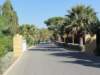 dsc01615_small.jpg