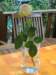 dsc01643_small.jpg
