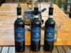 dsc01649_small.jpg