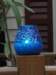 dsc01695_small.jpg