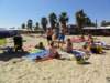 dsc01703_small.jpg