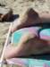 dsc01723_small.jpg