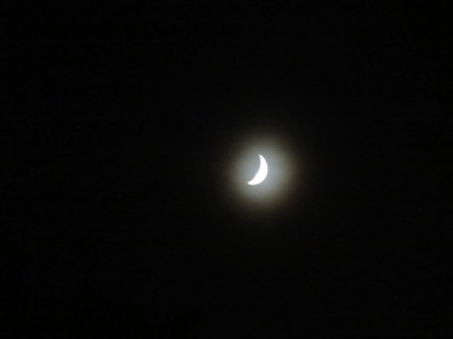 dsc01725.jpg