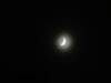dsc01725_small.jpg