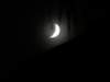 dsc01726_small.jpg