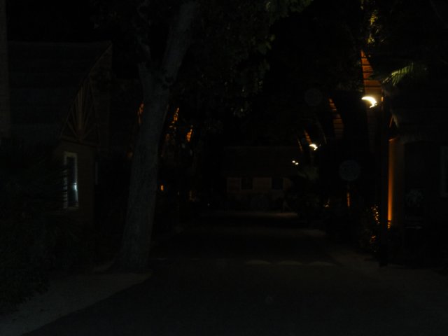 dsc01728.jpg