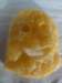 dsc01746_small.jpg