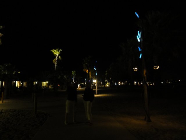 dsc01801.jpg