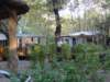 dsc01814_small.jpg