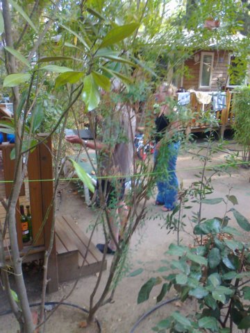 foto0164.jpg