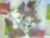 foto0185_small.jpg