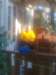 foto0188_small.jpg