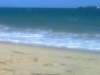 foto0190_001_small.jpg