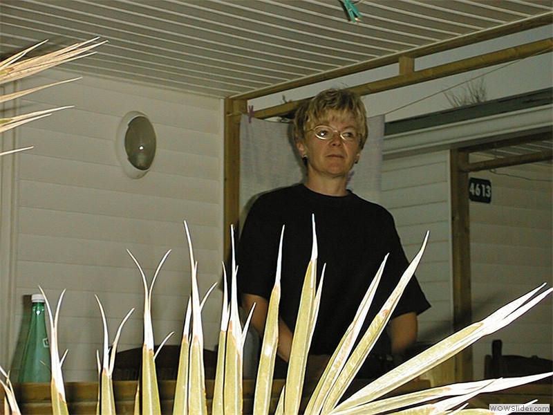 Bild19