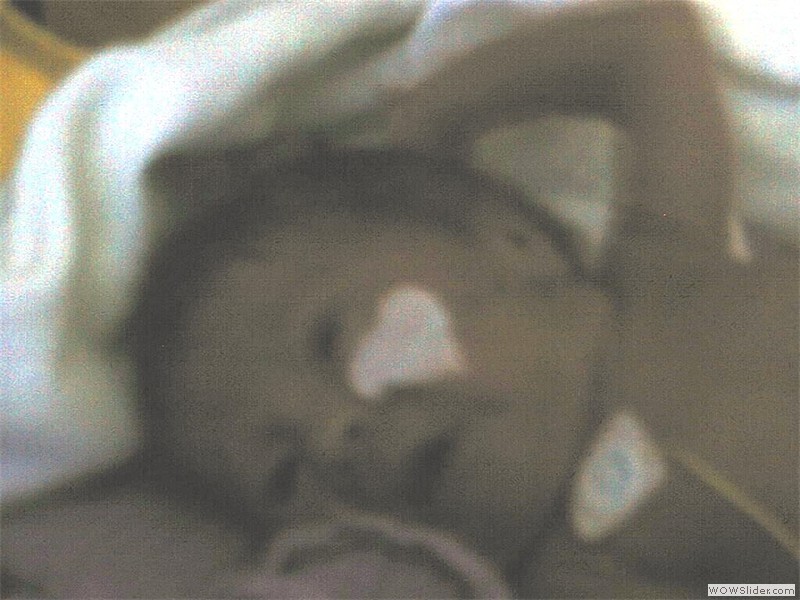 Bild25