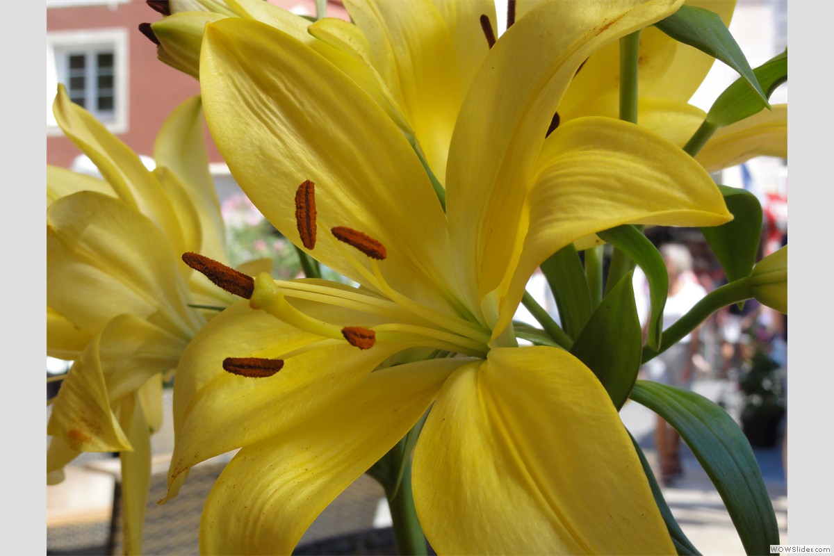 DSC04890