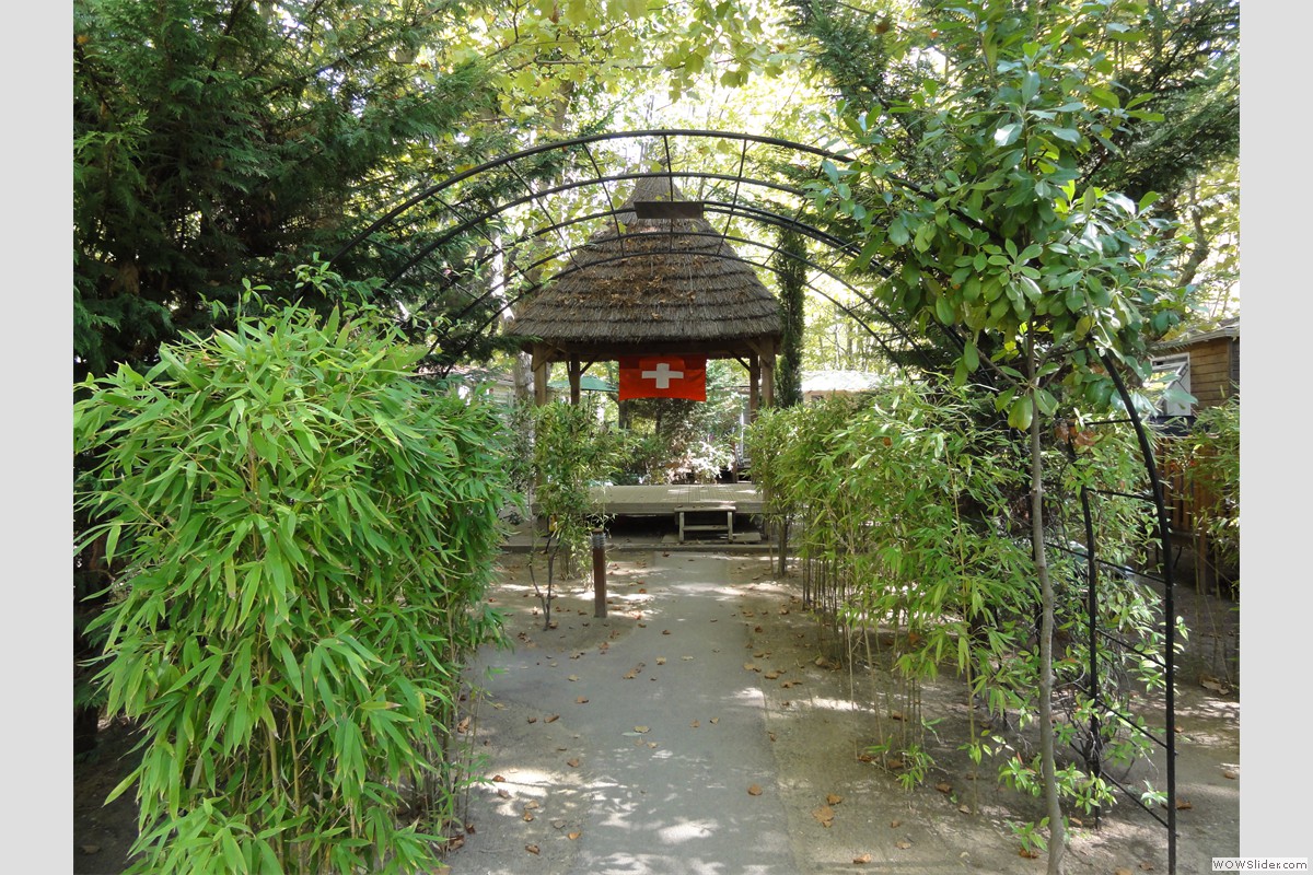 DSC04924