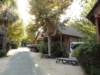 dsc00337_small.jpg