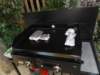 dsc00345_small.jpg