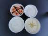 dsc00381_small.jpg