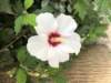 img_8367_small.jpg