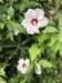 img_8373_small.jpg