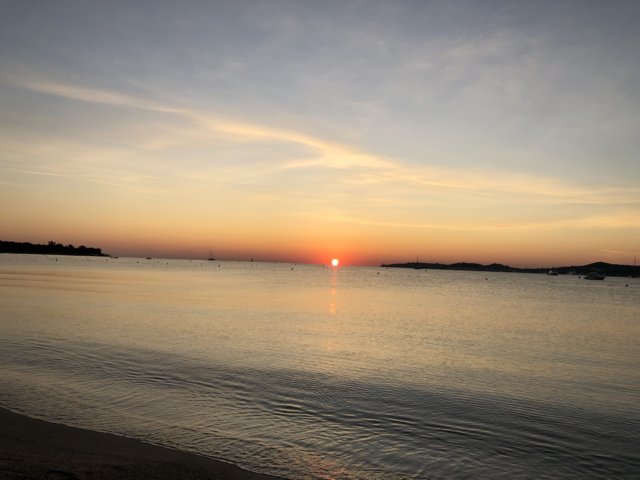 img_1733.jpg